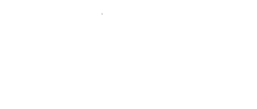 Logo Jennifer CHOSSON Photographe d'instants authentique