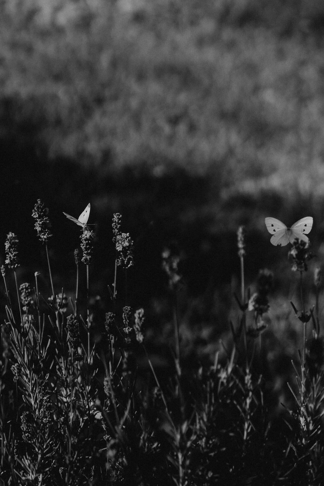 Photo d'instants authentiques en famille - Jennifer CHOSSON